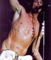 Rick Springfield - The Bad boy of Rock 5aab47792f06c.jpg