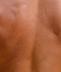 Brown Is Hot 5b10082b5131e.jpg