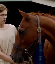 Charlie Pummer - The New Kid 5b49255717c25.jpg
