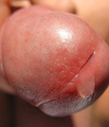 Semen est Donum 5b4e3e6f4e2aa.jpg