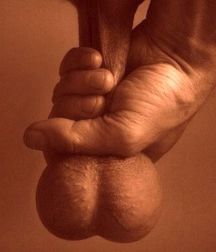 Wank Fantasies 5ea599a515924.jpg