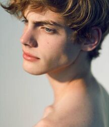 Blonds's Twinks Gay Tube Aesthetics  5f300c02c6bef.jpg