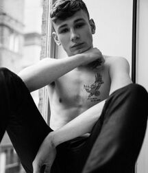 Jungs Torso Gay Tube 5f90691dc12b6.jpg