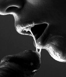 Dick Tok Gay Tube 5f906b37a922b.jpg