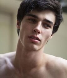 Male Buds Gay Tube 5f9368033e907.jpg