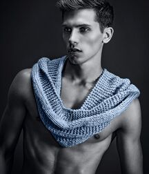 Queer Temptations Gay Tube 5fff385448b63.jpg