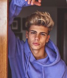 Dream Boyfriends Gay Tube 602f9c576fcb9.jpg