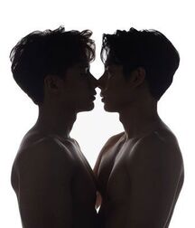 Dream Boyfriends Gay Tube 602f9d9b876ab.jpg