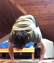 Ron Levi  5e8691d9a205a.gif