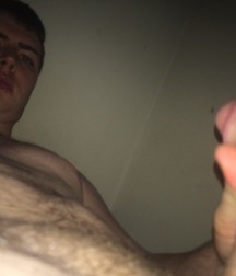 Mix of Young Cocks 5a82e50d01b1a.jpg
