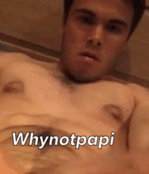 Why Not Papi 5ba2a26237e82.gif