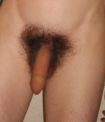 all our dicks are perfect 5a6d384a99488.jpg