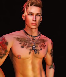 Second Life Art 5c374c201cff1.jpg