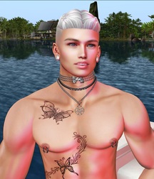 Second Life Art 5c374c3436b74.jpg