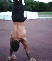 Adi Gillespie 5b2cbe5c11c2c.gif