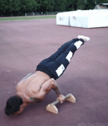 Adi Gillespie 5c2fd81d62570.gif