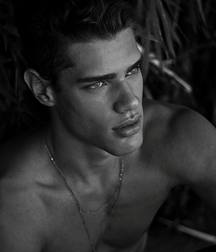 Lucas Loyola 5c5b4bb482835.png
