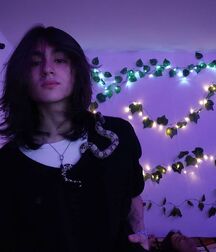 Mesmerizing twink tube 61cf365ccbc01.jpg