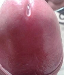All we need is cock 5f21fef1aa831.jpg