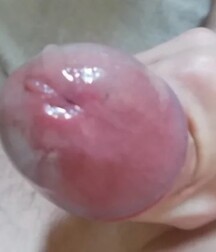 Reblog if you love the taste cum feast boys porn 5f7260f323f3d.jpg