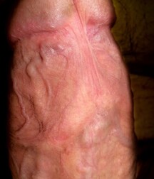 They all came out of my dreams big cocks gay teen porn 5f726b29f0d79.jpg