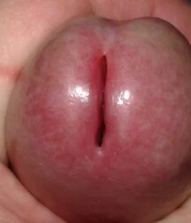 You need cock to feel alive boys porn 5f726deaa7680.jpg