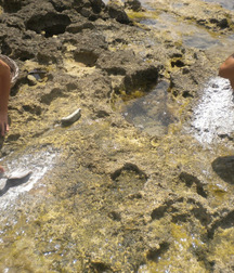 holiday with frends 5a88532214811.jpg