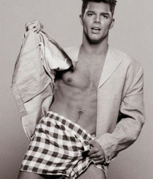 Ricky Martin 5b0522a396453.jpg