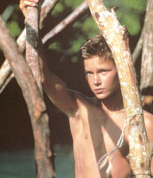 River Jude Phoenix 5b1b7efdb591f.jpg
