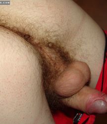 set794 5c976f9fde4e1.jpg