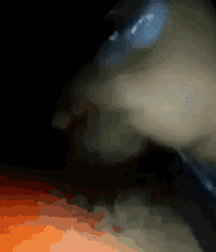 boys 5a89919b5d662.gif