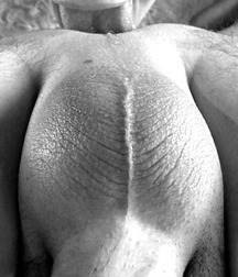 black and white 5a9457e6debf0.jpg