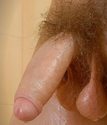 Penis, penis, penis 5a9862225a05f.jpg