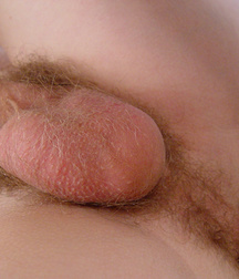 Penis, penis, penis 5a999695eb74e.jpg