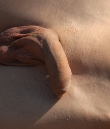 Penis, penis, penis 5a9996ec8a3da.jpg