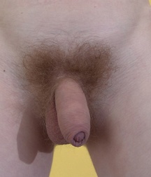 Penis, penis, penis 5a99977d05c6b.jpg