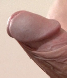Penis, penis, penis 5a9c5dddce1e6.jpg