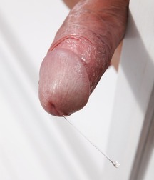Penis, penis and penis 5aa2ac3d78f2d.jpg
