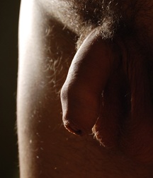 Penis, penis, penis 5aa6a36c13e53.jpg