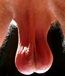 Nice photos 5aa6a8c09ec14.jpg