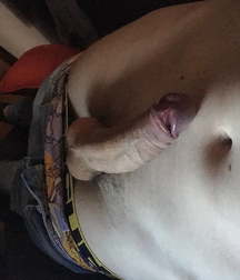 Twinks, Dick, Cum 5aa837092a298.jpg