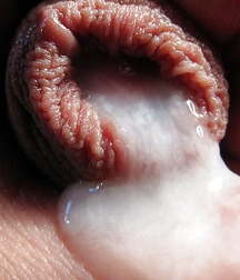 Twinks, Dick, Cum 5aa8370a6d971.jpg