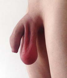 penises of different ages 01 5aa95cf1abd12.jpg