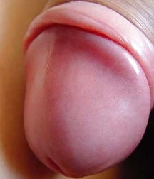 penises of different ages 01 5aa95cf56d24f.jpg