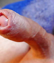Dickslips and peeks 02 5aa95e347c3b4.jpg