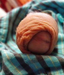 Dickslips and peeks 02 5aa95e36c29e4.jpg