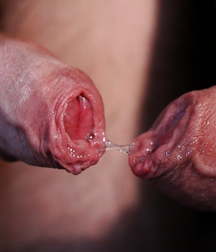 Dickslips and peeks 03 5aa95f45a4402.jpg