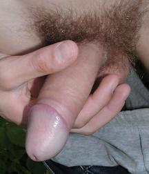 Twinks dick 02 5aa99bb322258.jpg