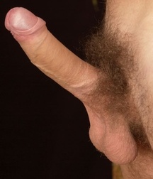 Aleex - Cute dick 5aad5331652fd.jpg