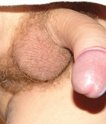 Aleex - Cute dick 5aad533b57aac.jpg
